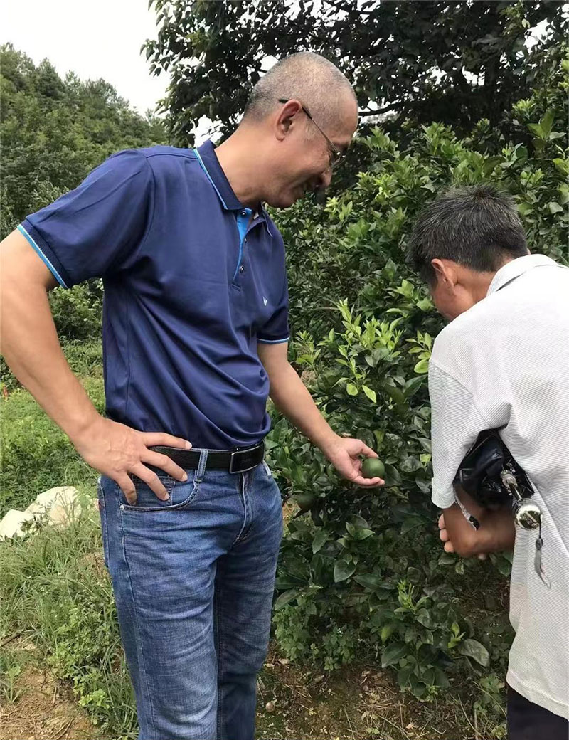  柑橘技术指导现场